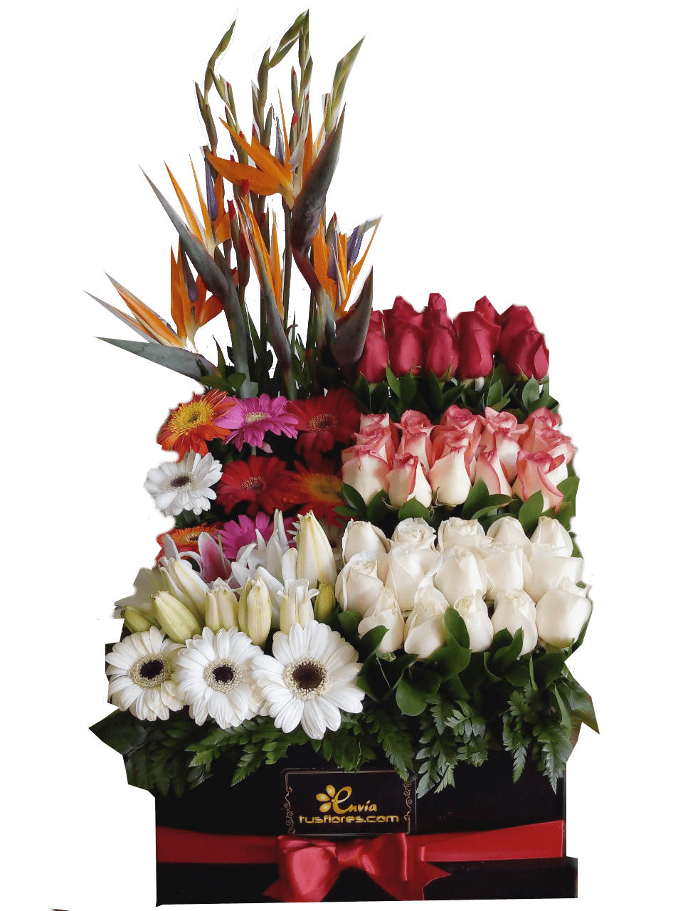 Caja de Flores Variadas